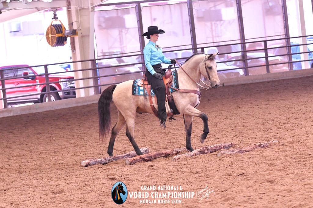 Wichita Riding Academy, Inc. Internship Program | Derby KS