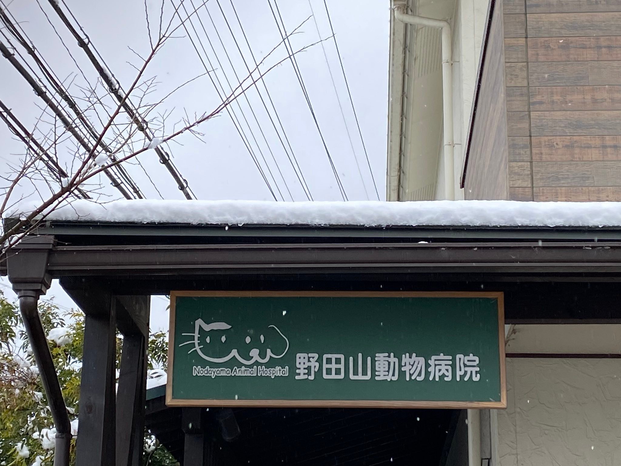 野田 山 動物 病院