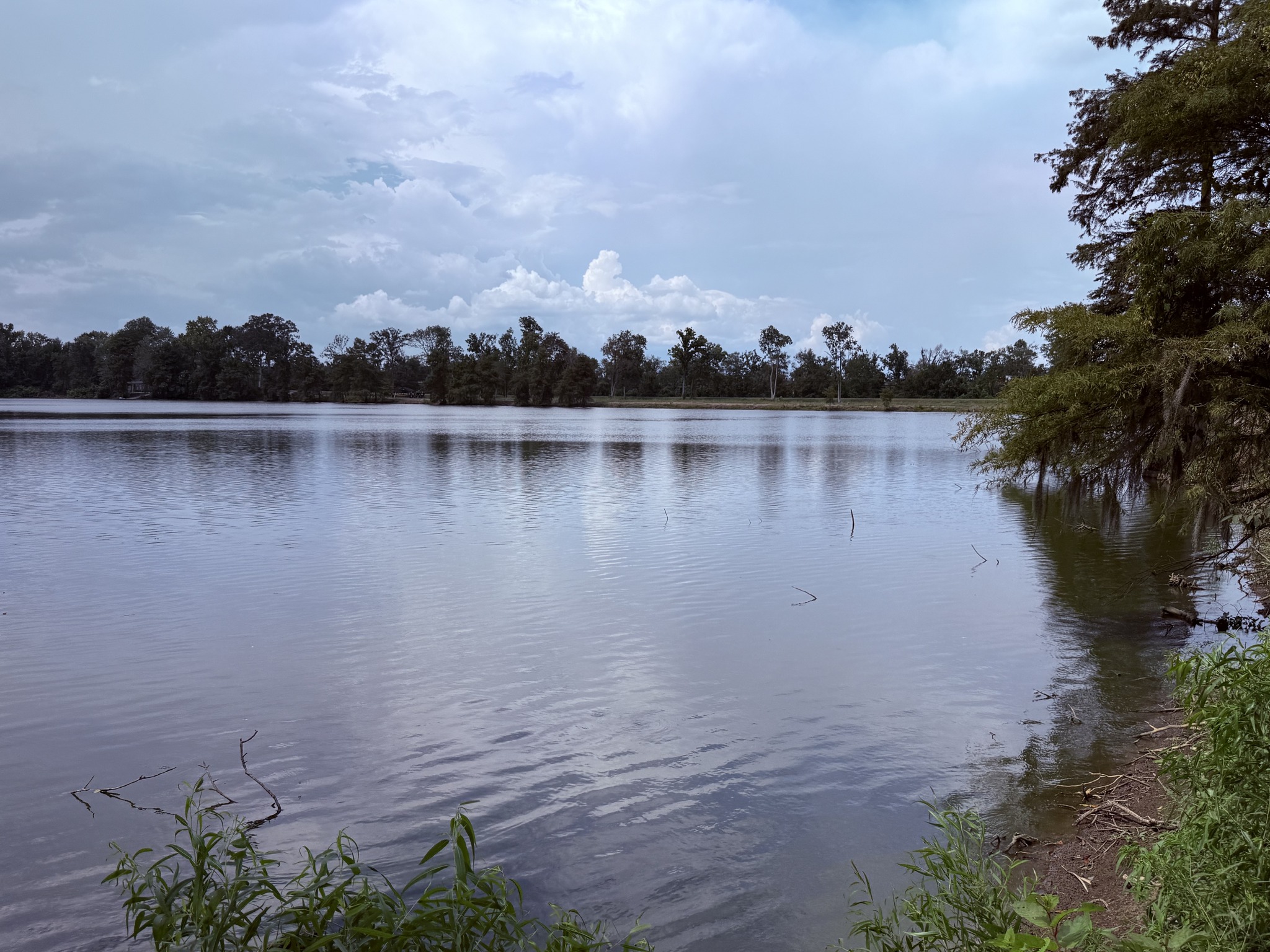 Mississippi / Louisiana Land Network | ⬇💥HUGE PRICE REDUCTION | Facebook