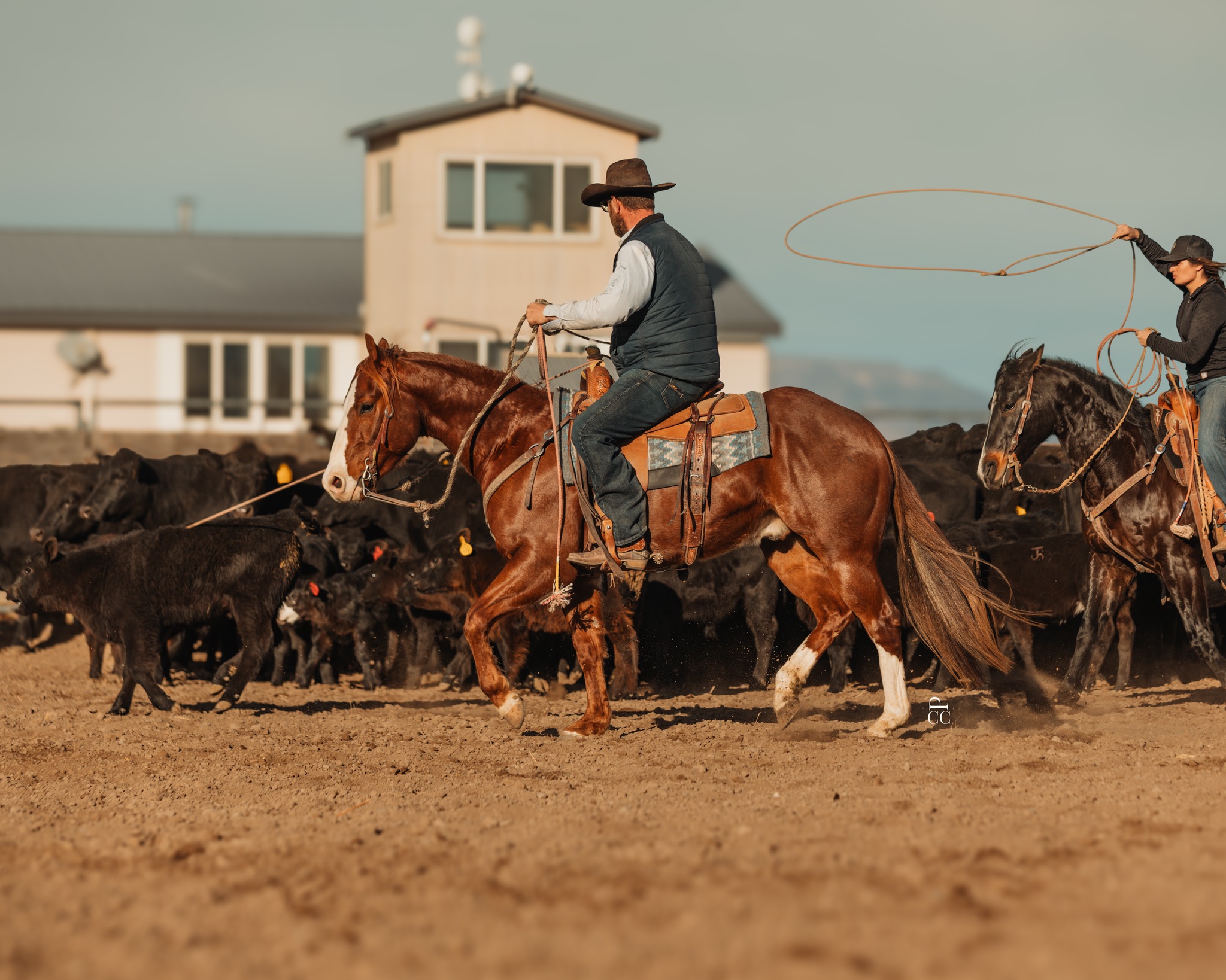 VanBelle Ranch - From the ZX to the show pen. Jimmy... | Facebook