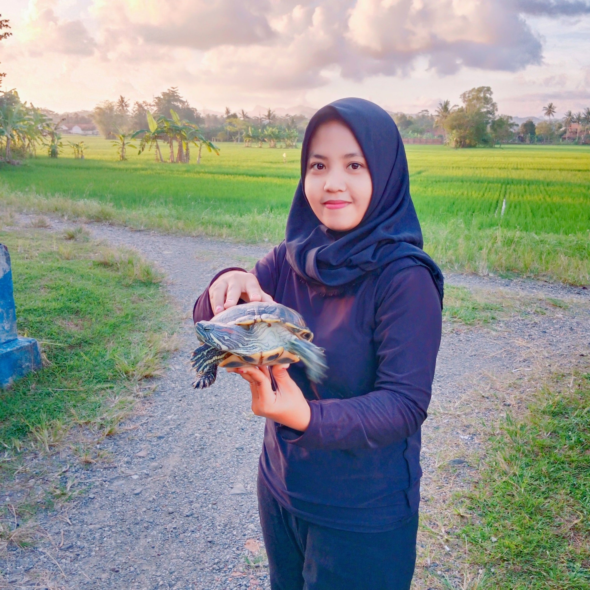 How do you clean dirt off a turtle's shell? #turtle #turtles | Septi ...