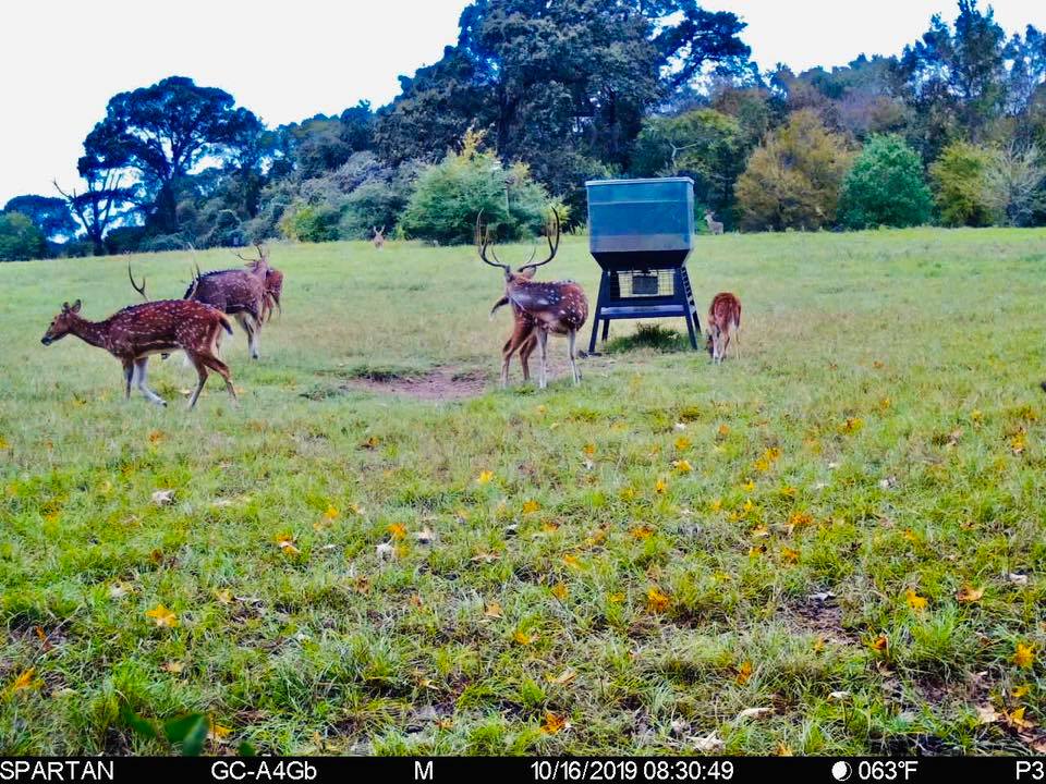 Whiskey Ridge Ranch