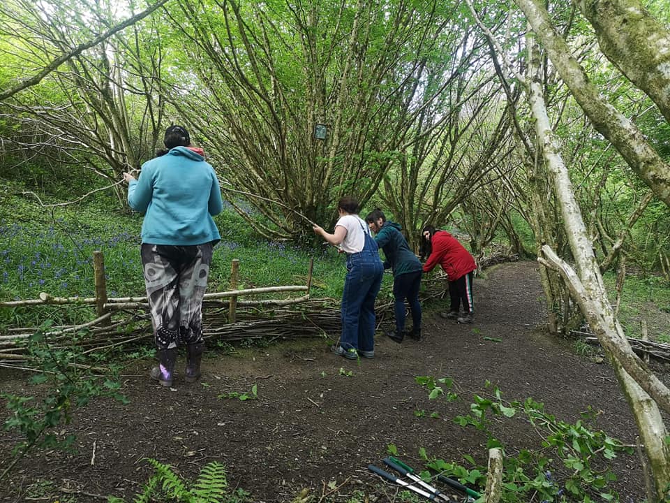 Our volunteers have been... - Truro's Countryside Rangers
