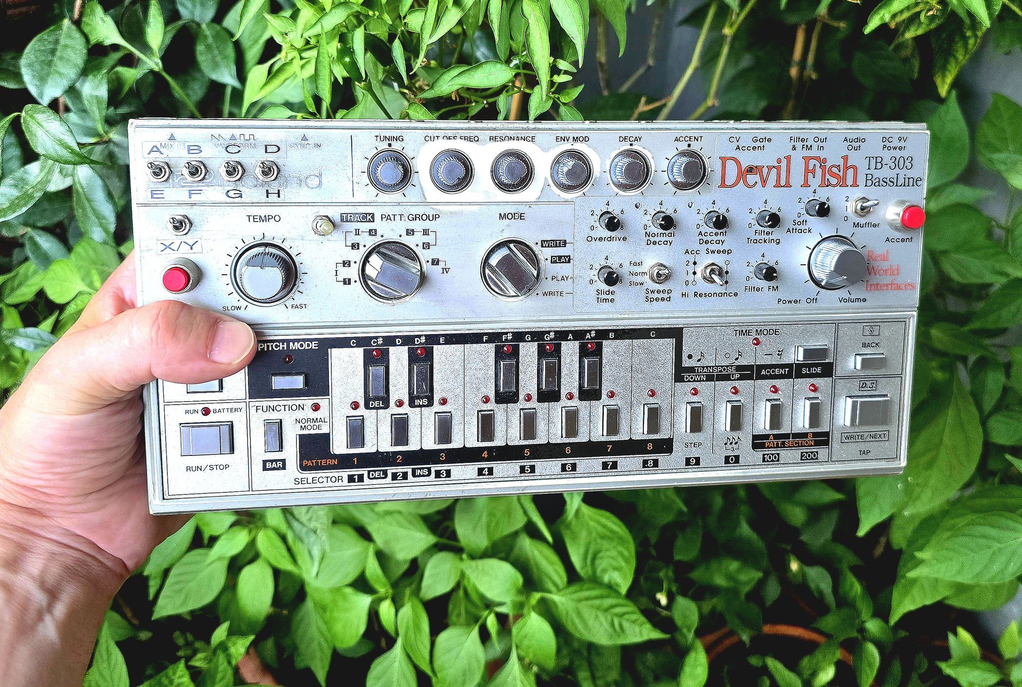 Roland TB-303 Devil Fish