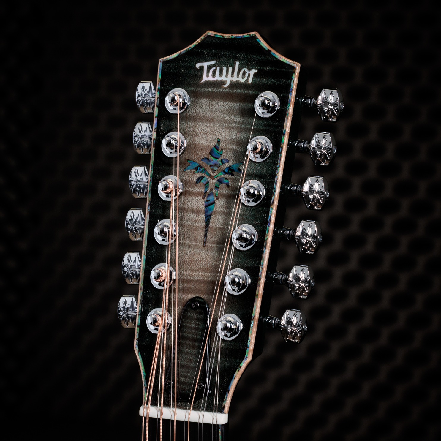 Taylor Guitars - Taylor Guitars added a new photo.