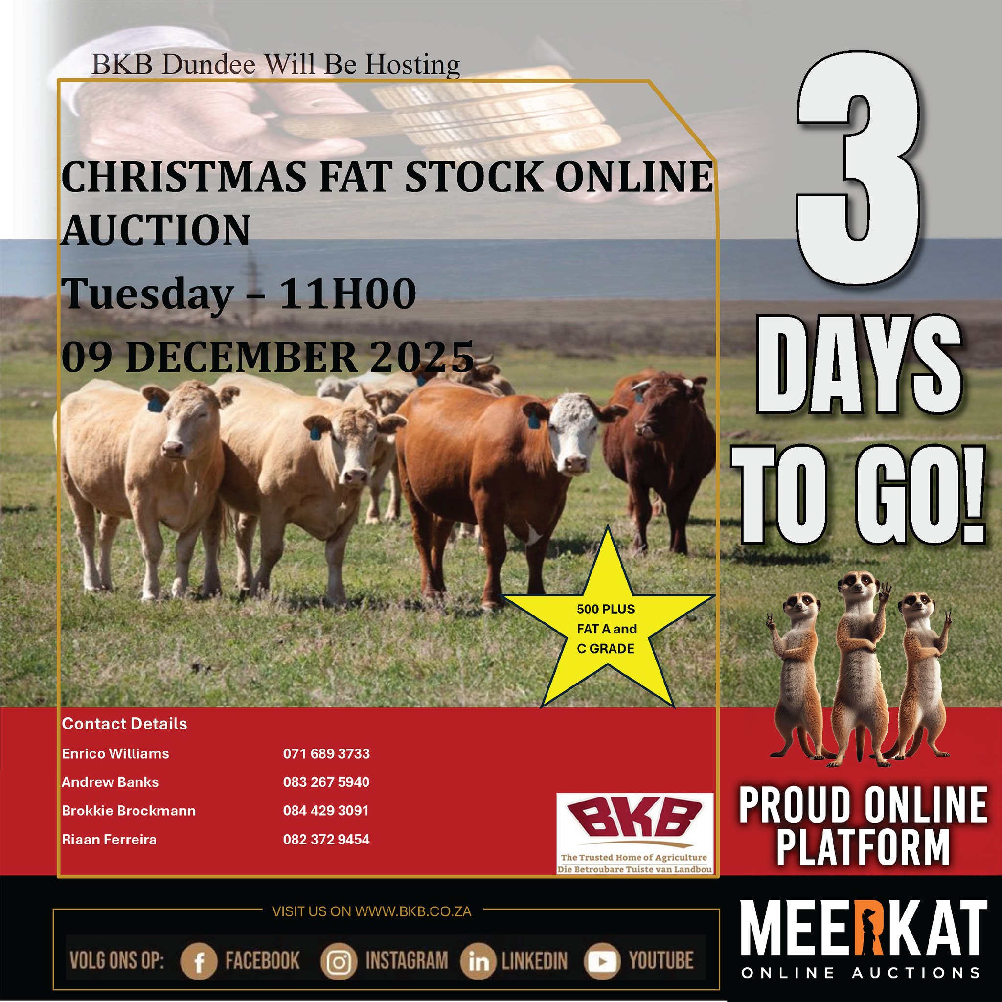 MEERKAT Online Auctions