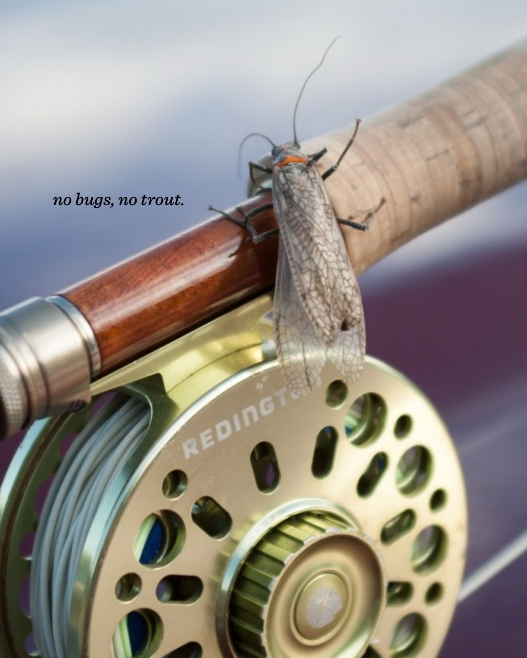 Trout Unlimited - Trout Unlimited added a new photo.
