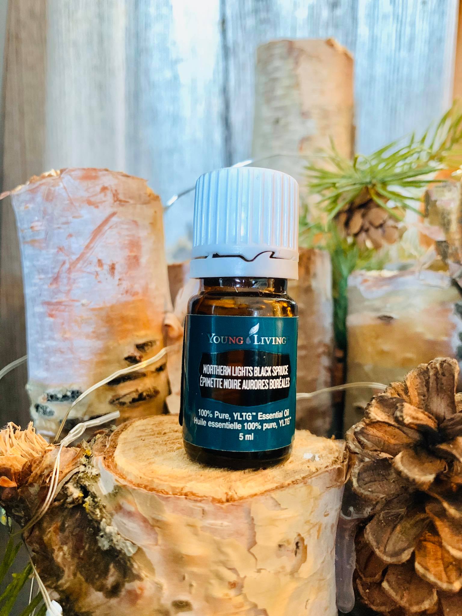 Northern Lights Black Spruce (NLBS) is a Young Living favorite