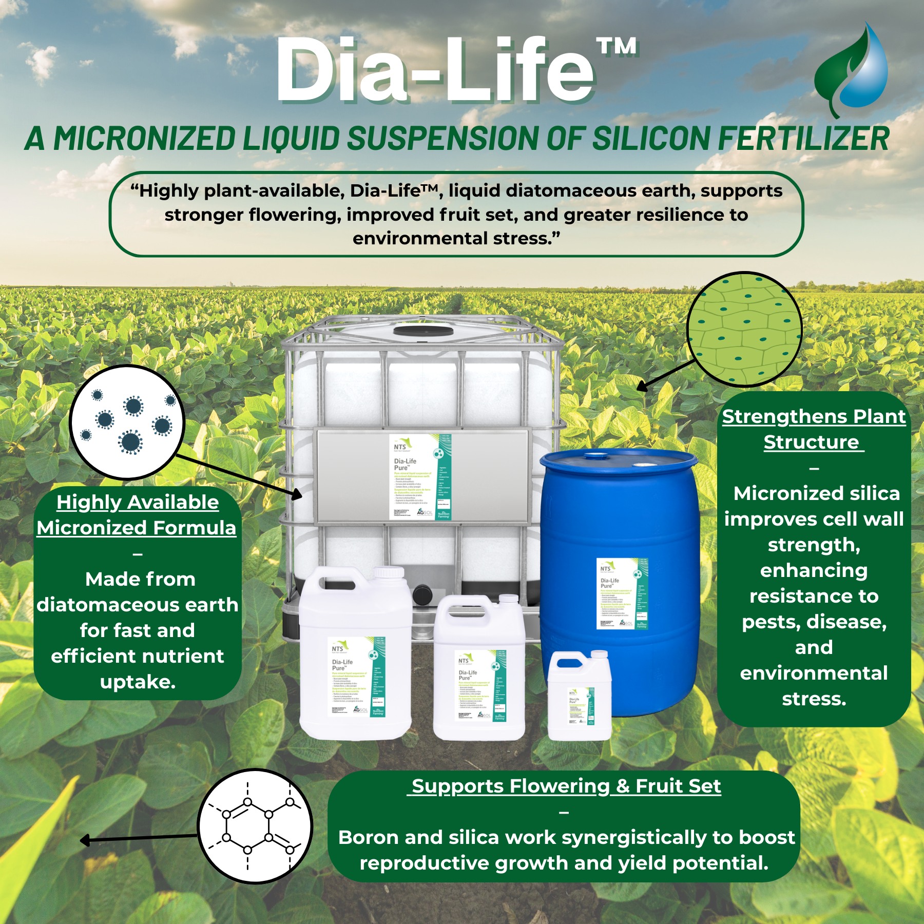 Agriculture Solutions Inc.