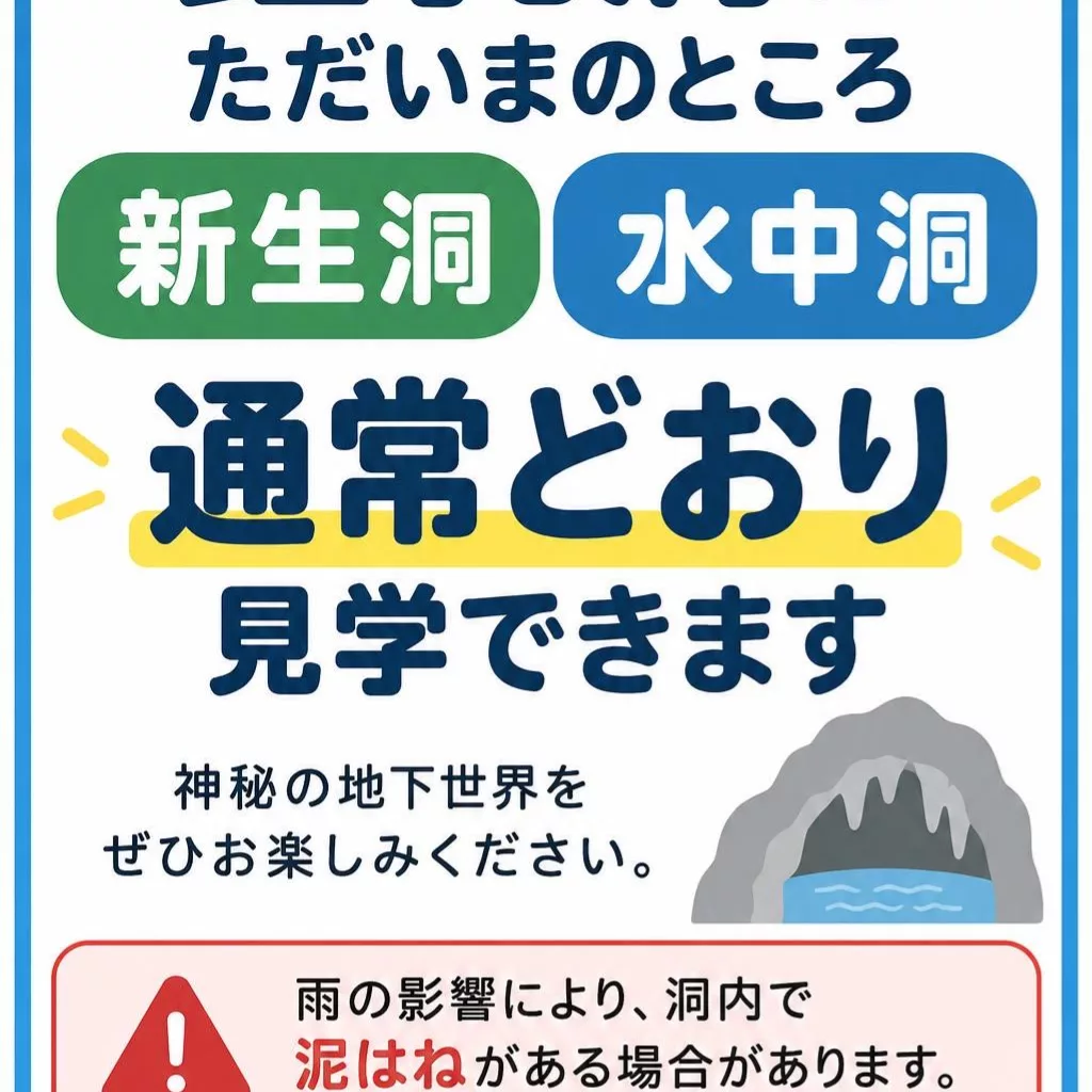 ?media_id=1490457979781424