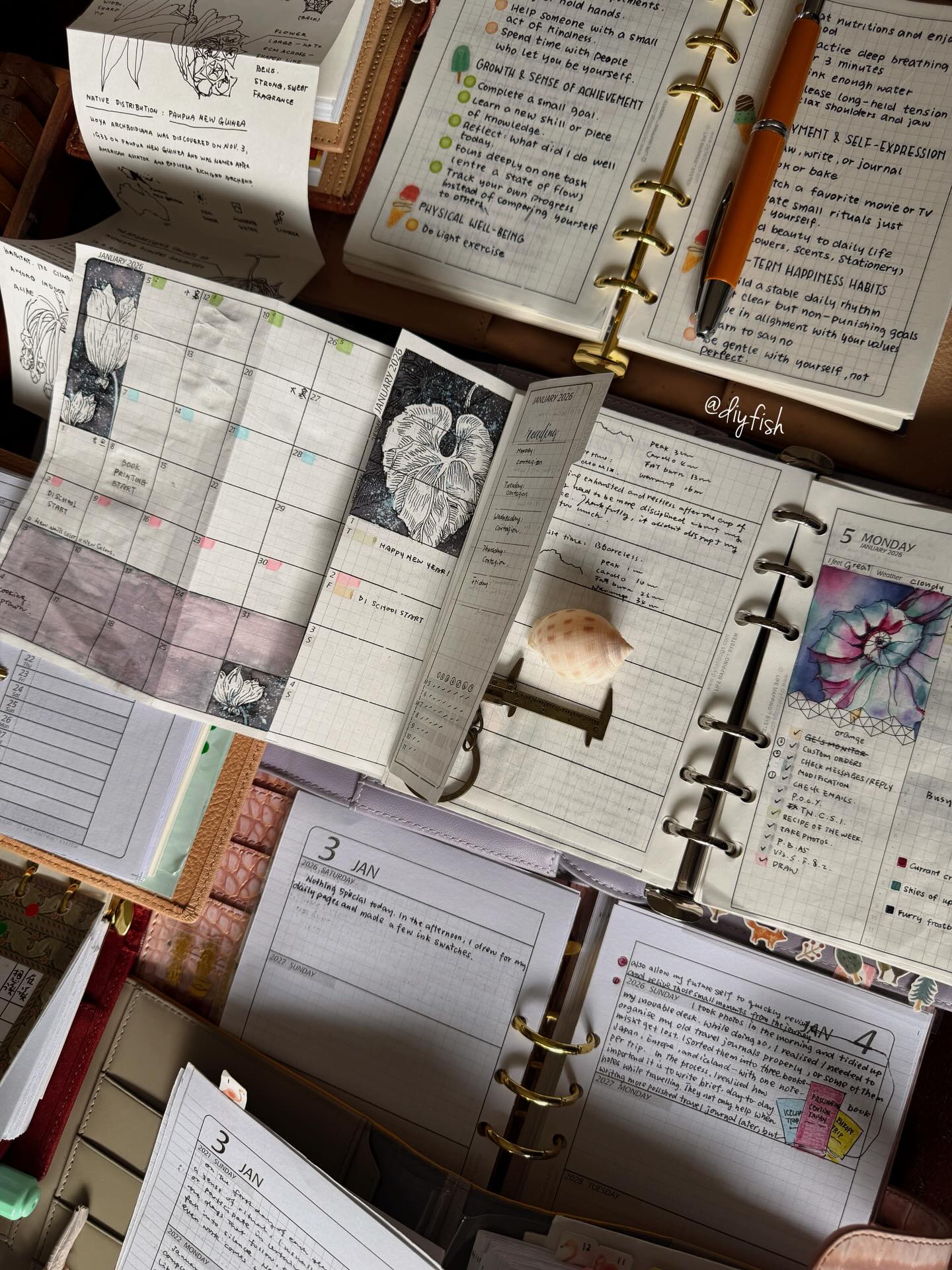 DIYfish - Planner lineup time. Laying everything out,... | Facebook