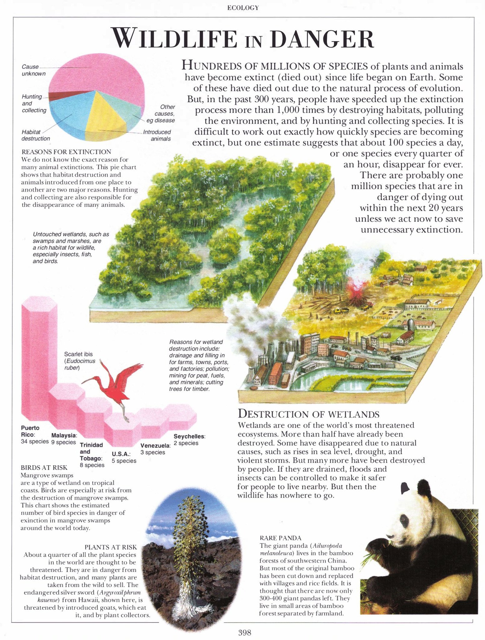 Biology | Wildlife in Danger by DK Science Knowledge Encyclopedia ...