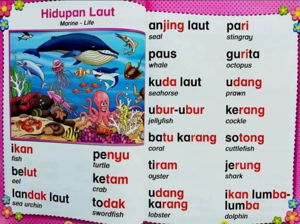 Boss Buku Kamus Bergambar 3 Bahasa Yay Stok Baru Dah Facebook
