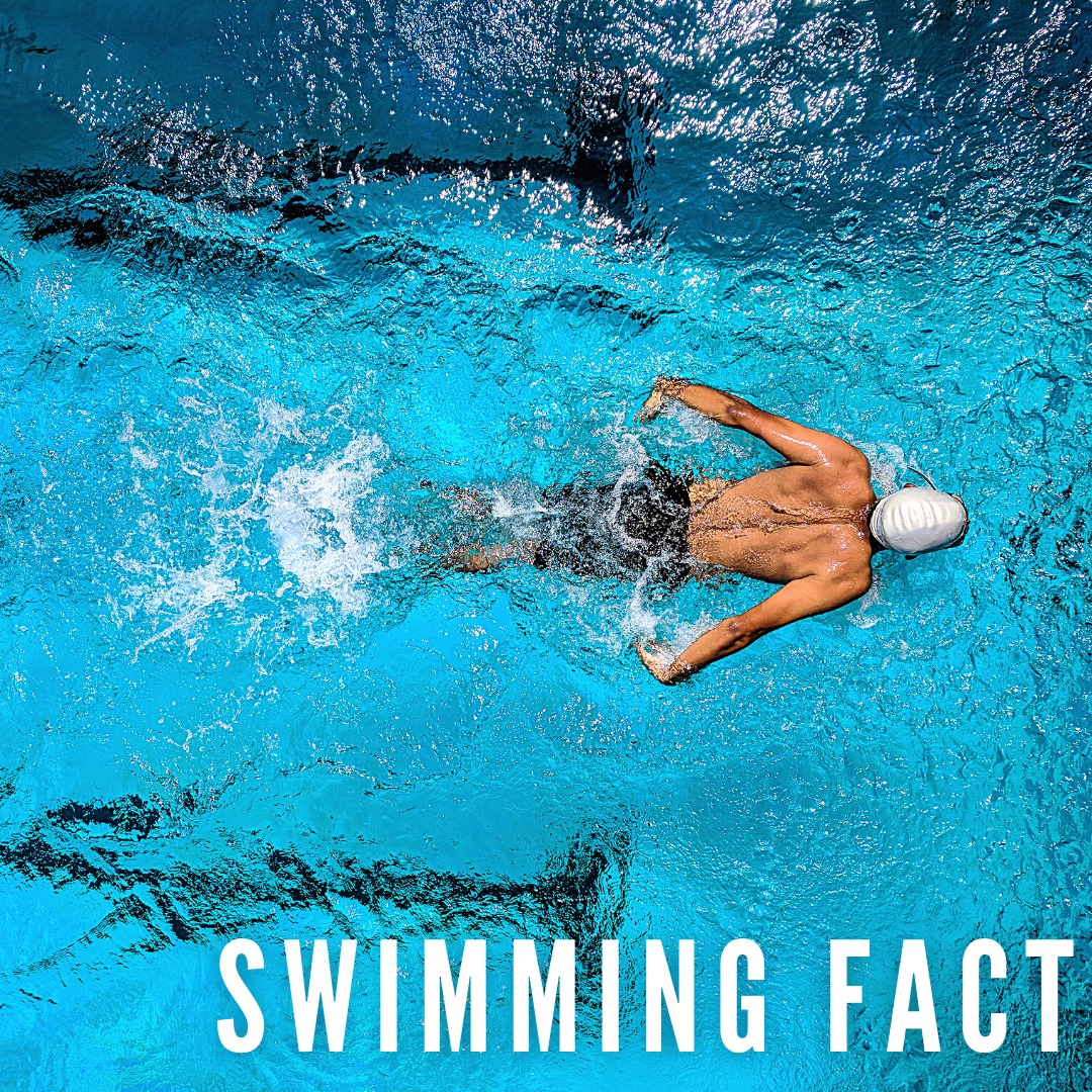 🏊🏻 Swimming Fact:... - Looper Swimming Pool