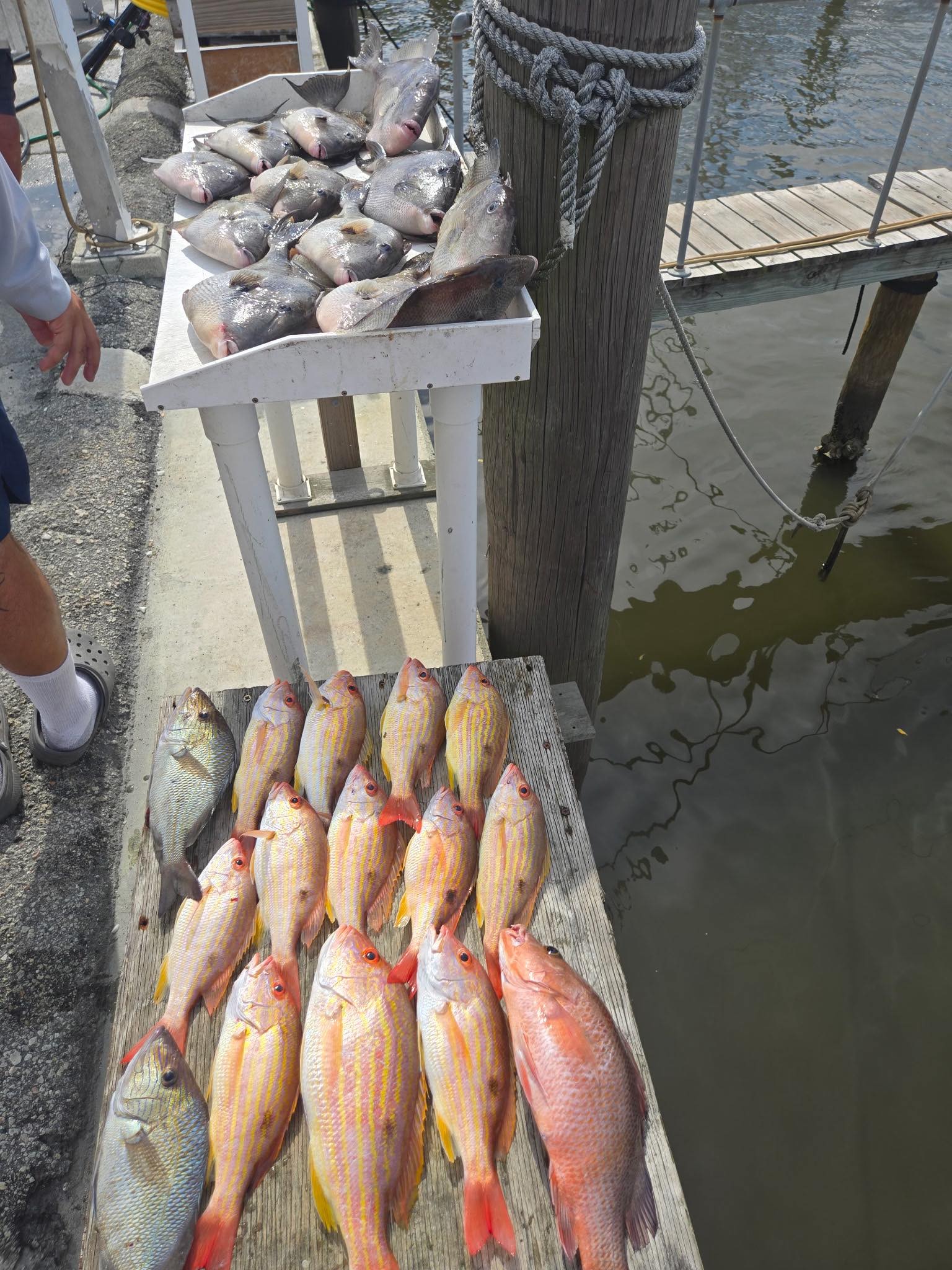 Capt.Lew Deep Sea Fishing... - Capt.Lew Deep Sea Fishing