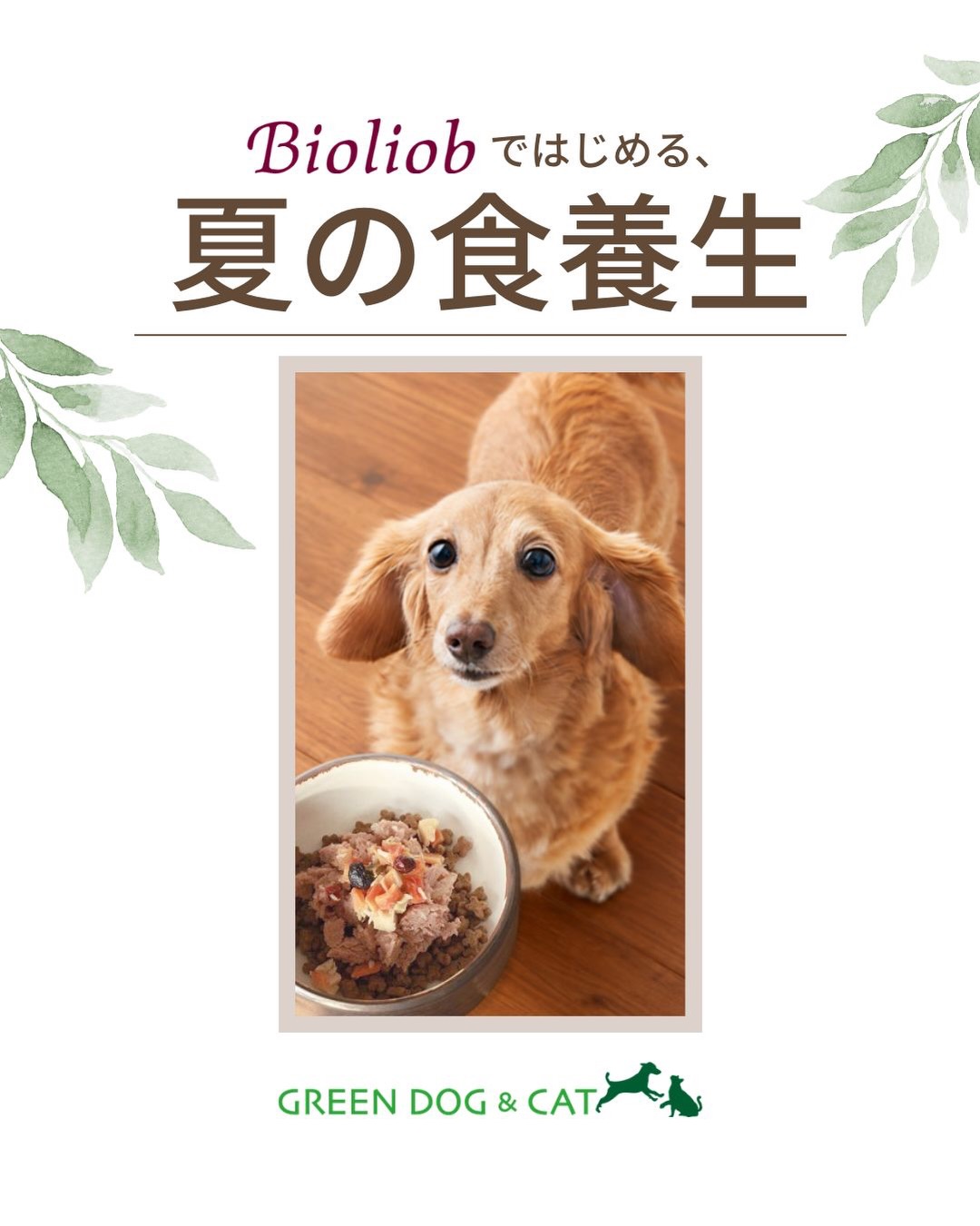 NEW arrival 当店でも大人気の ビオリオーブから夏メニューが登場