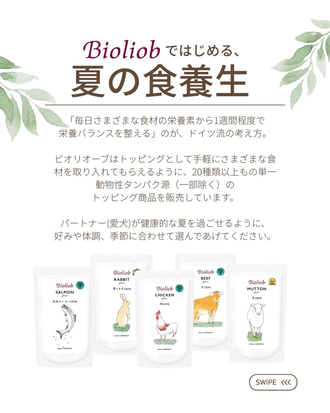 NEW arrival 当店でも大人気の ビオリオーブから夏メニューが登場