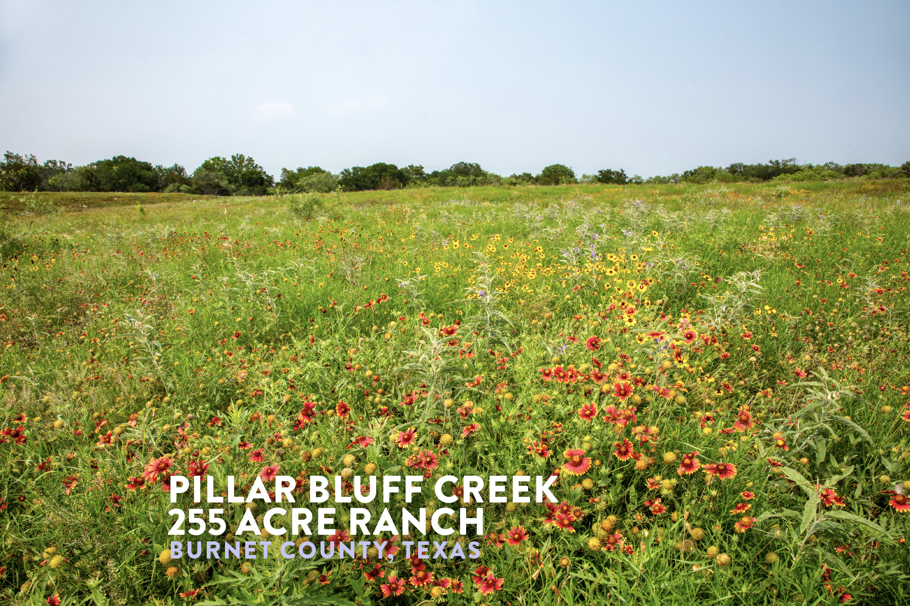 Chas. - Feature Photo 🔸📷🔸 Pillar Bluff Ranch 680± acres | Burnet County ...