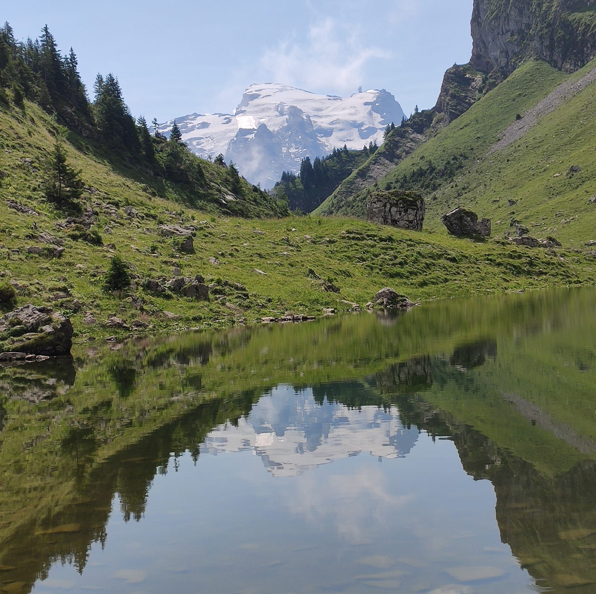 Ruedi Rohrbach