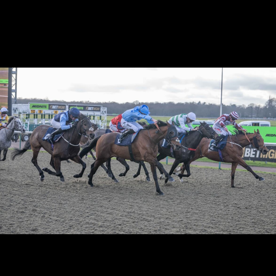 TJ Kent Racing | Newmarket