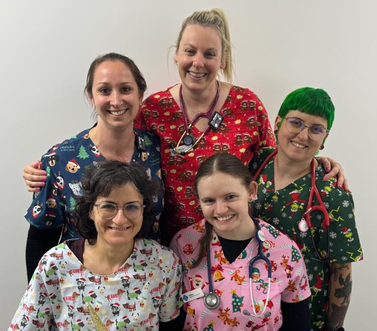 North Hobart Veterinary... - North Hobart Veterinary Hospital