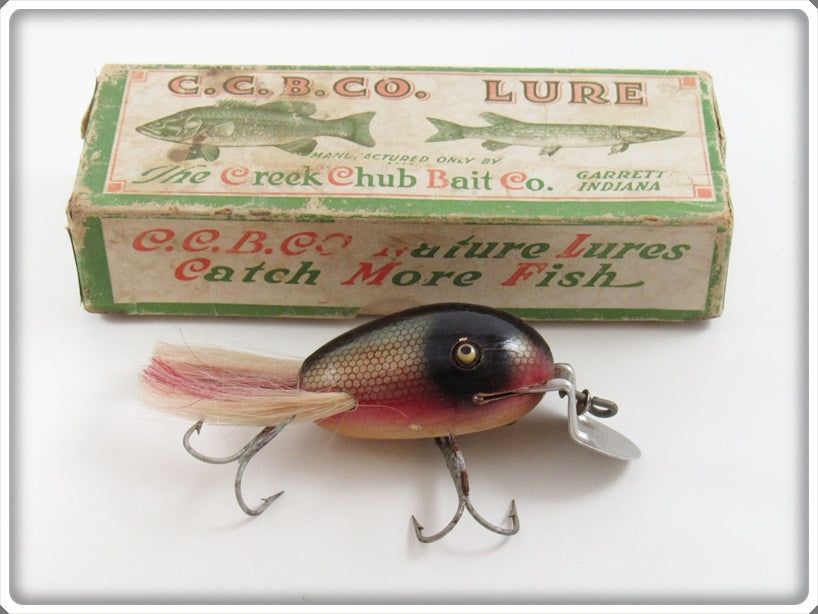 ding bat fishing lure Musky Dan (XXX Lures) Baby Dingbat, Golden Shiner w/COA  My Bait Shop, LLC Pat 1920 Creek Chub Dingbat