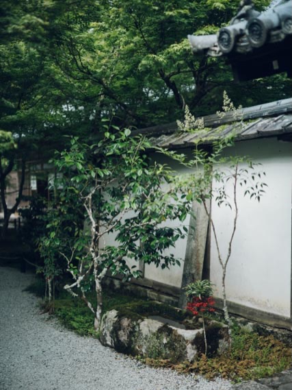 enkouji #kyoto #zentemple #圓光寺#京都5月24日新緑