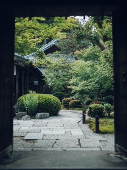 enkouji #kyoto #zentemple #圓光寺#京都5月24日新緑