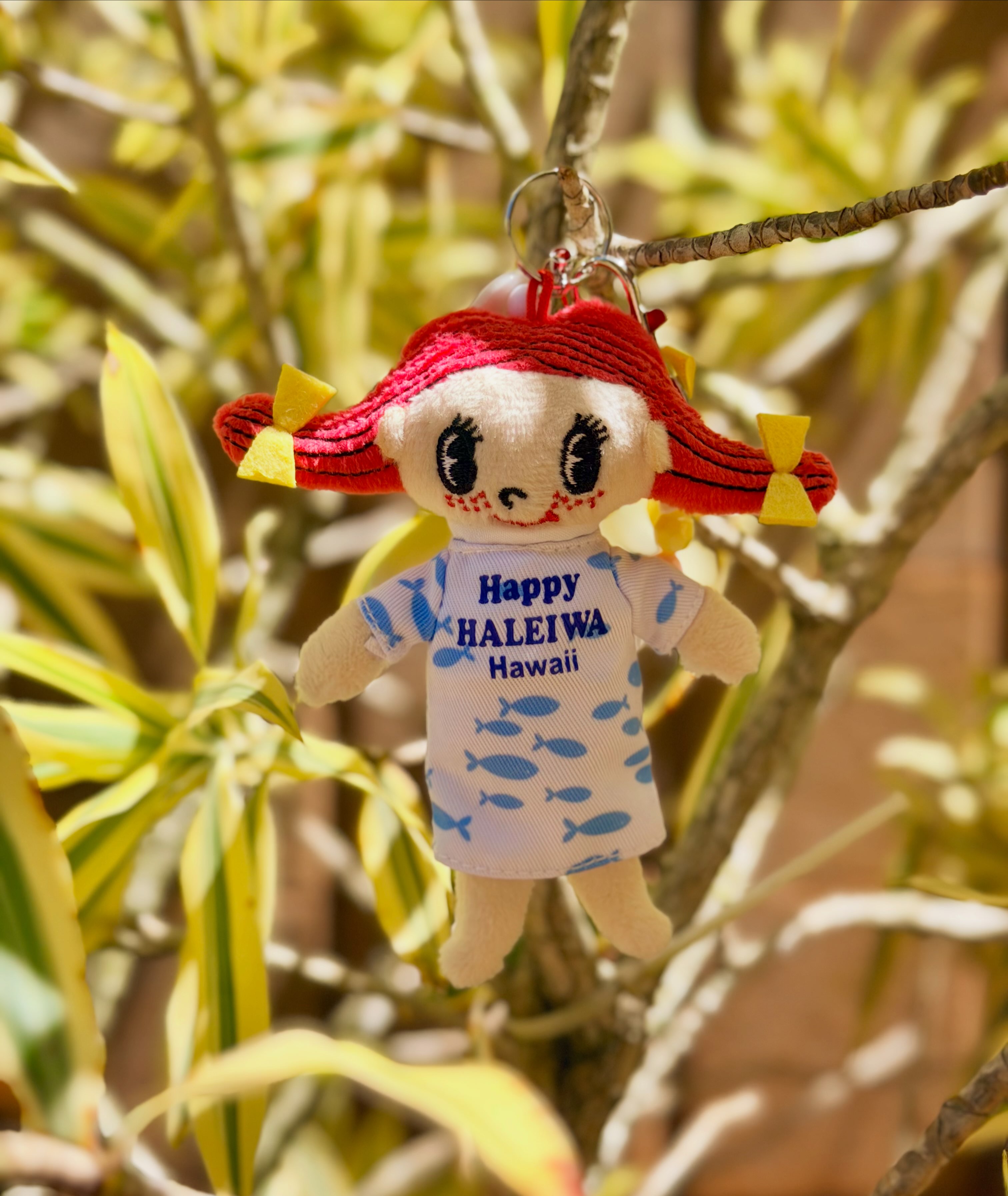 Happy Haleiwa | Honolulu HI