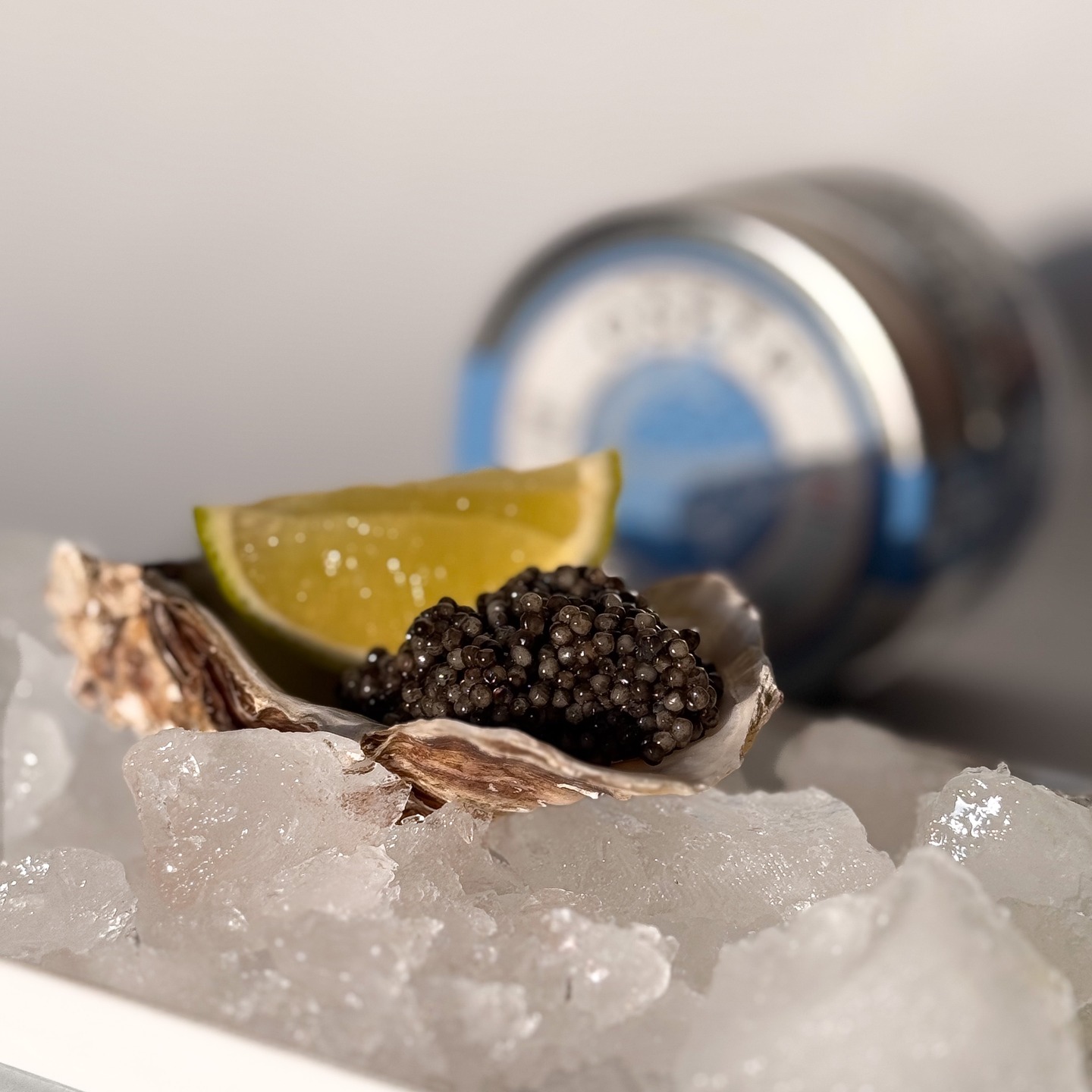 OSETR caviar | Ukrainka