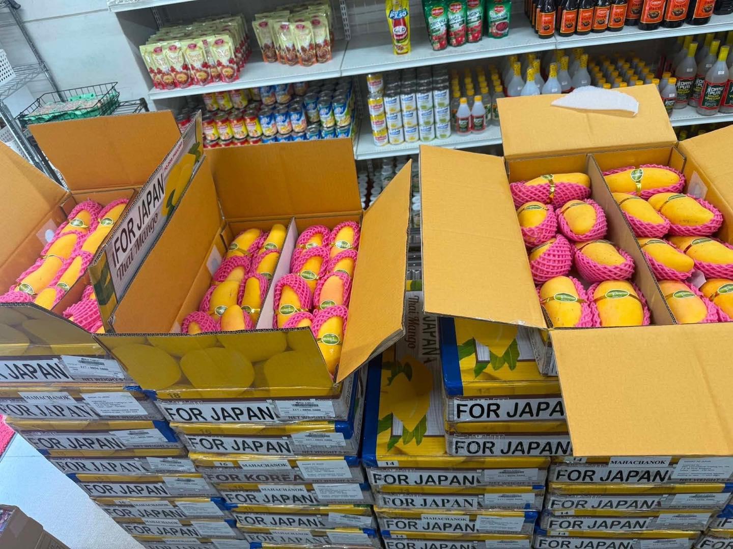 Kokomi Japan and International Fruits | Ota-ku Tokyo