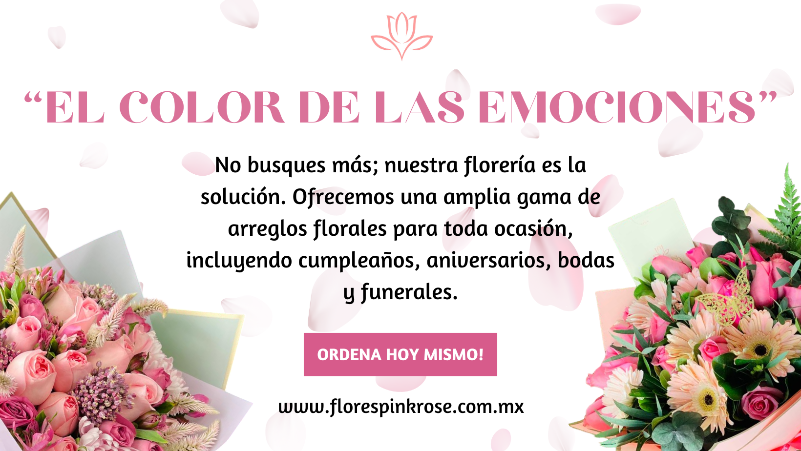 Pink Rose Floreria - Flores a domicilio Monterrey