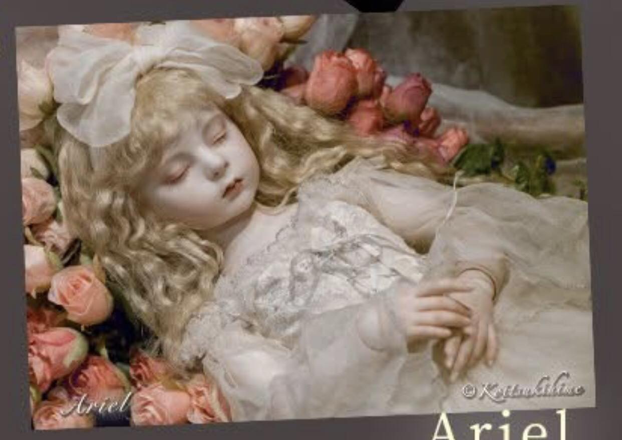 as i was deeply searching about Gardenia doll i came up to this 