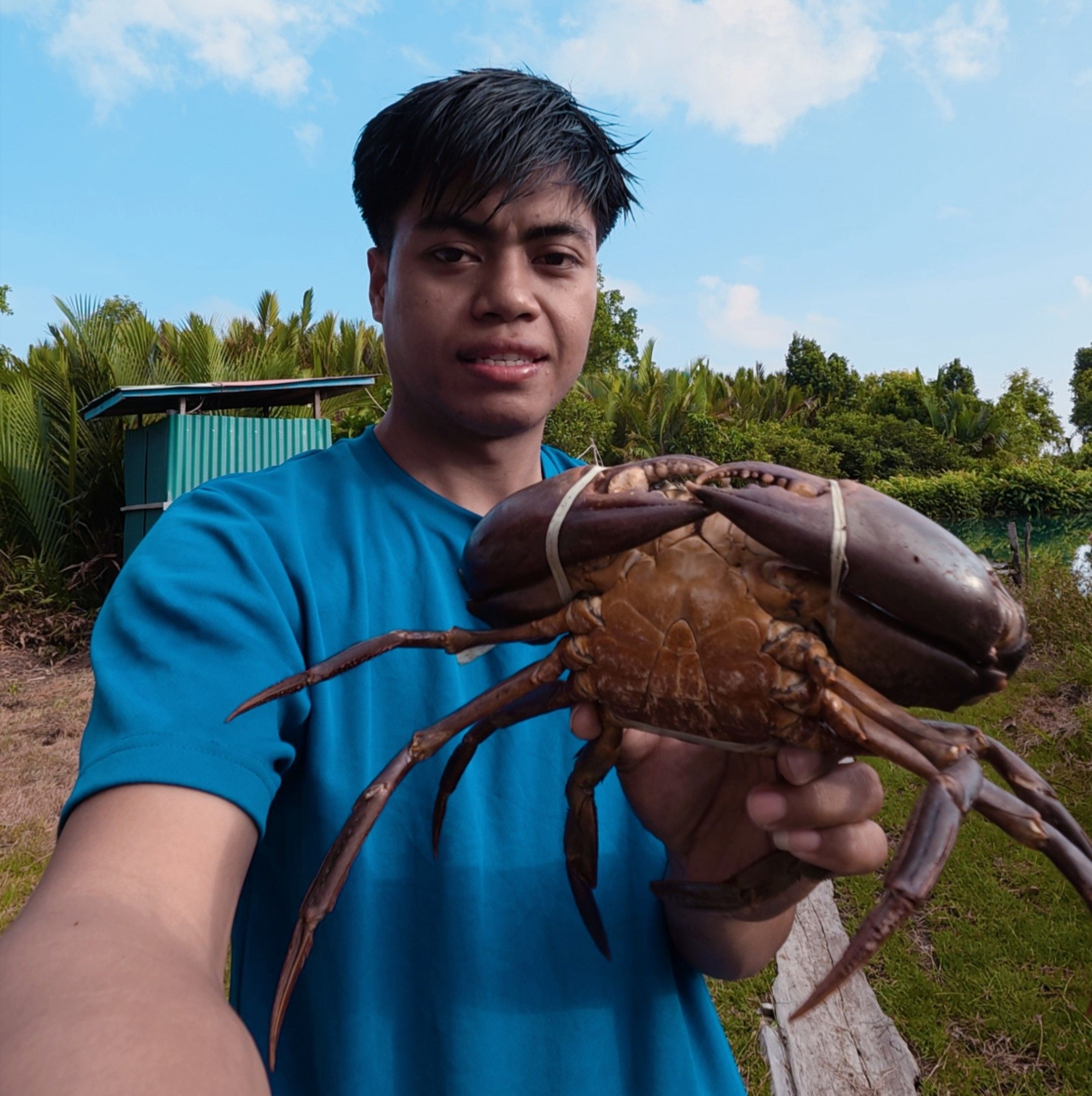 The Crab Disappears, but the Hunting Spirit Stays Strong! #Crab # ...