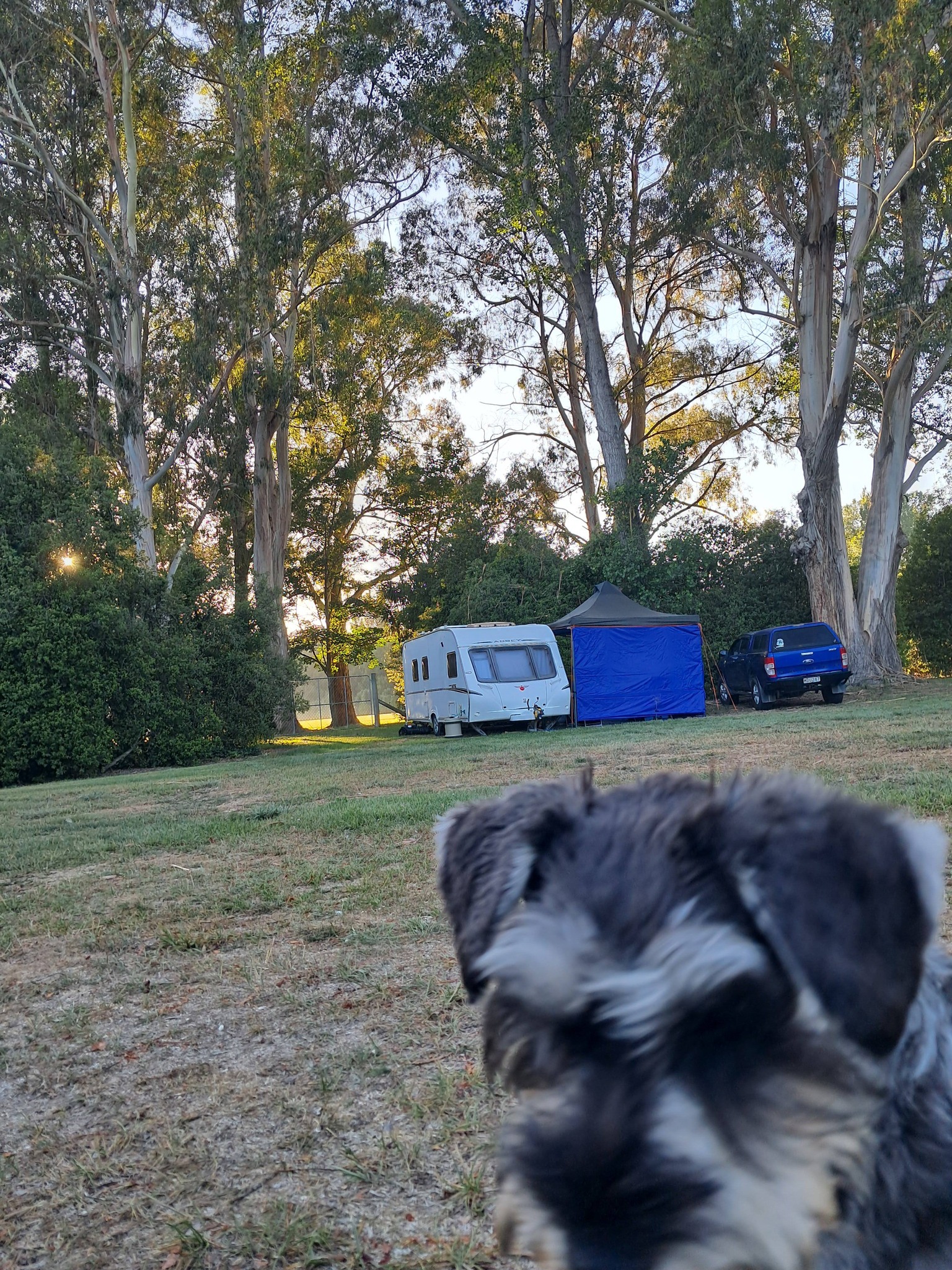 Temuka Holiday Park | Temuka
