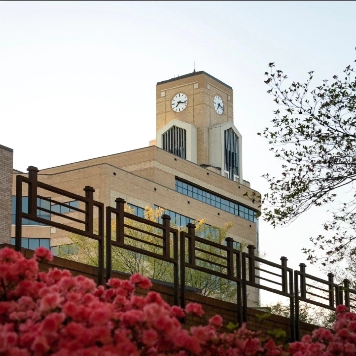 Arkansas State University Library - Dean B. Ellis Library | Jonesboro AR