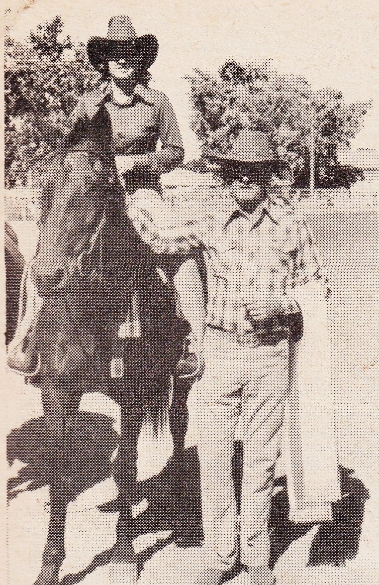 Equestrian - Winner of the Ladies Draft Sue Glenwright and Downey's ...
