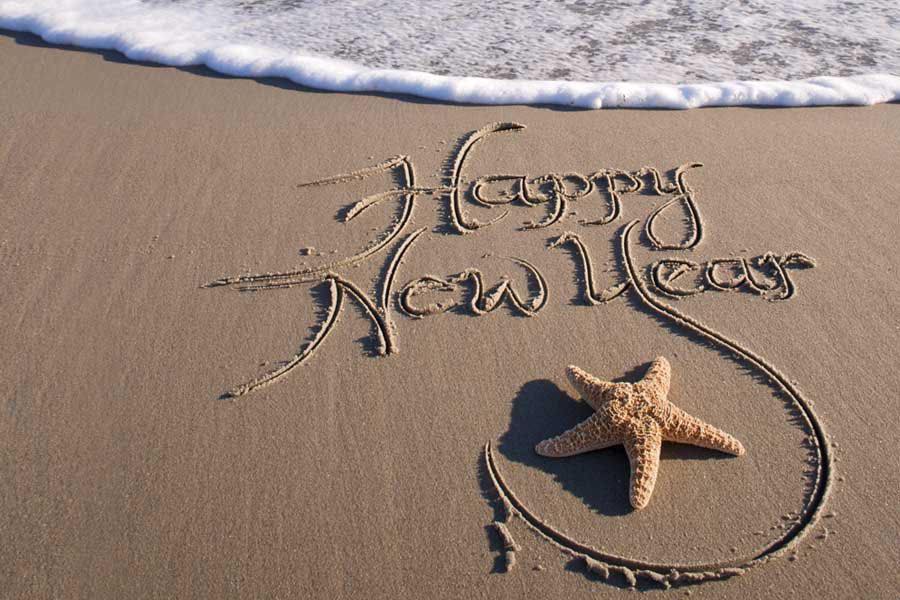 🇺🇸 Thank you all for a great... - American Shellfish Company | Facebook