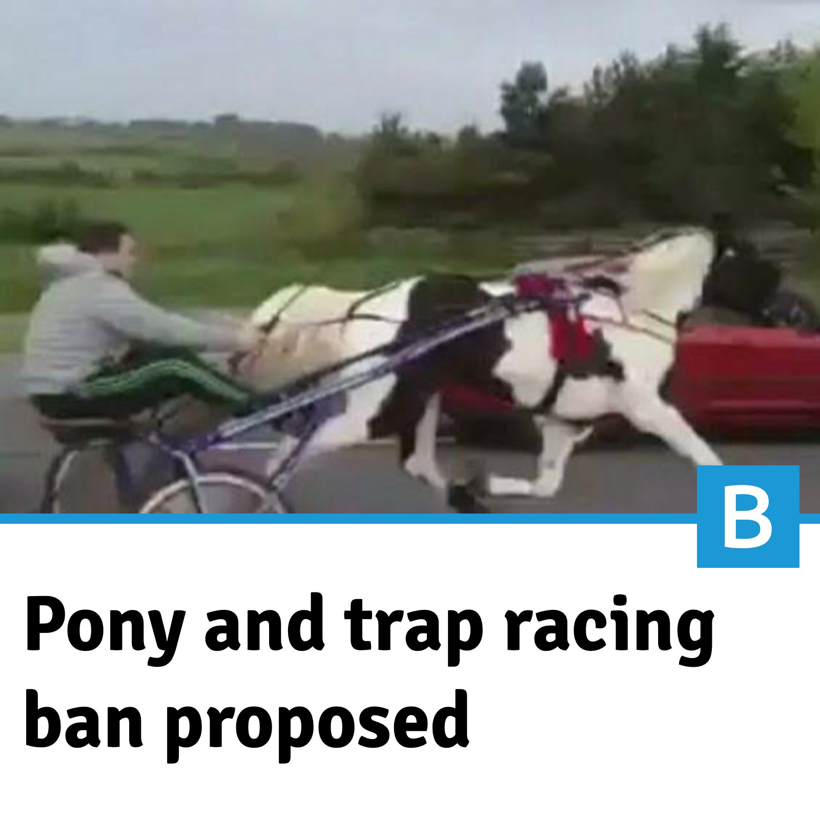 A ban on pony-and-trap racing is... - Buckinghamshire Live | Facebook