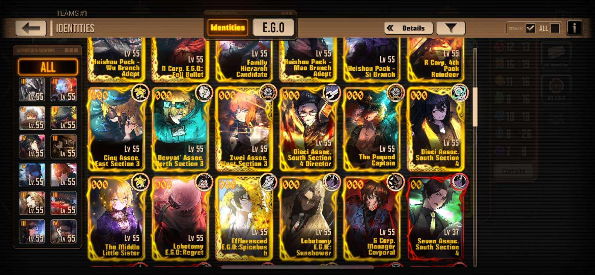 Limbus Company Việt Nam 🇻🇳 | vs đống id này nên build team j v | Facebook