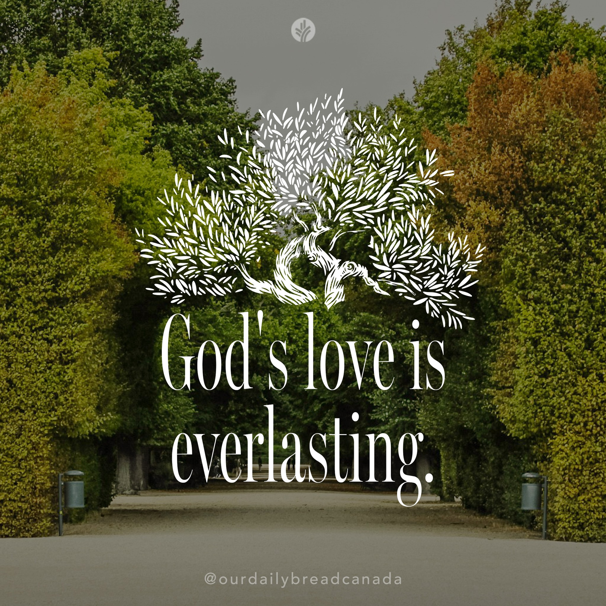 Our - Today's moments with God: God’s Eternally Beloved 📖 Read ...