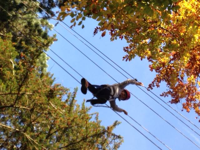 Caterham Wildcats High Ropes and Climbing | Caterham