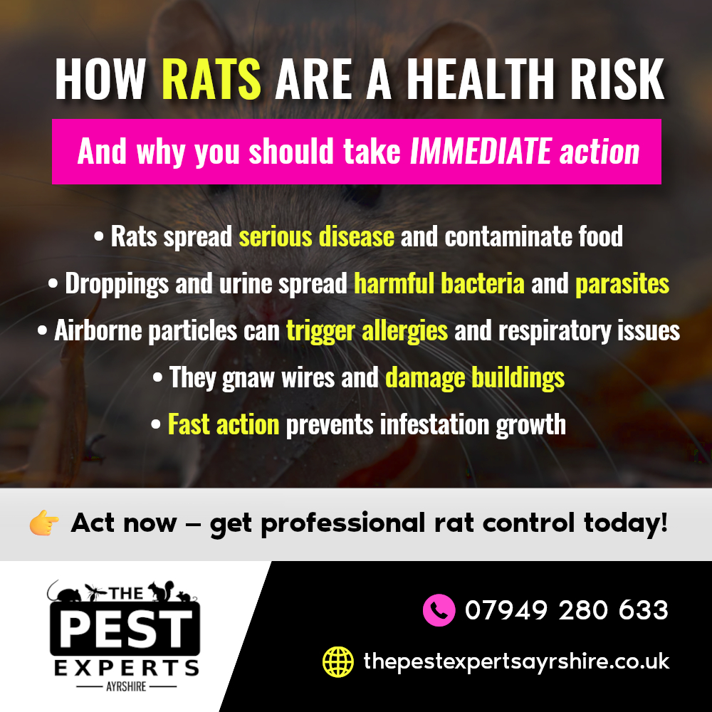 The Pest Experts Ayrshire... - The Pest Experts Ayrshire