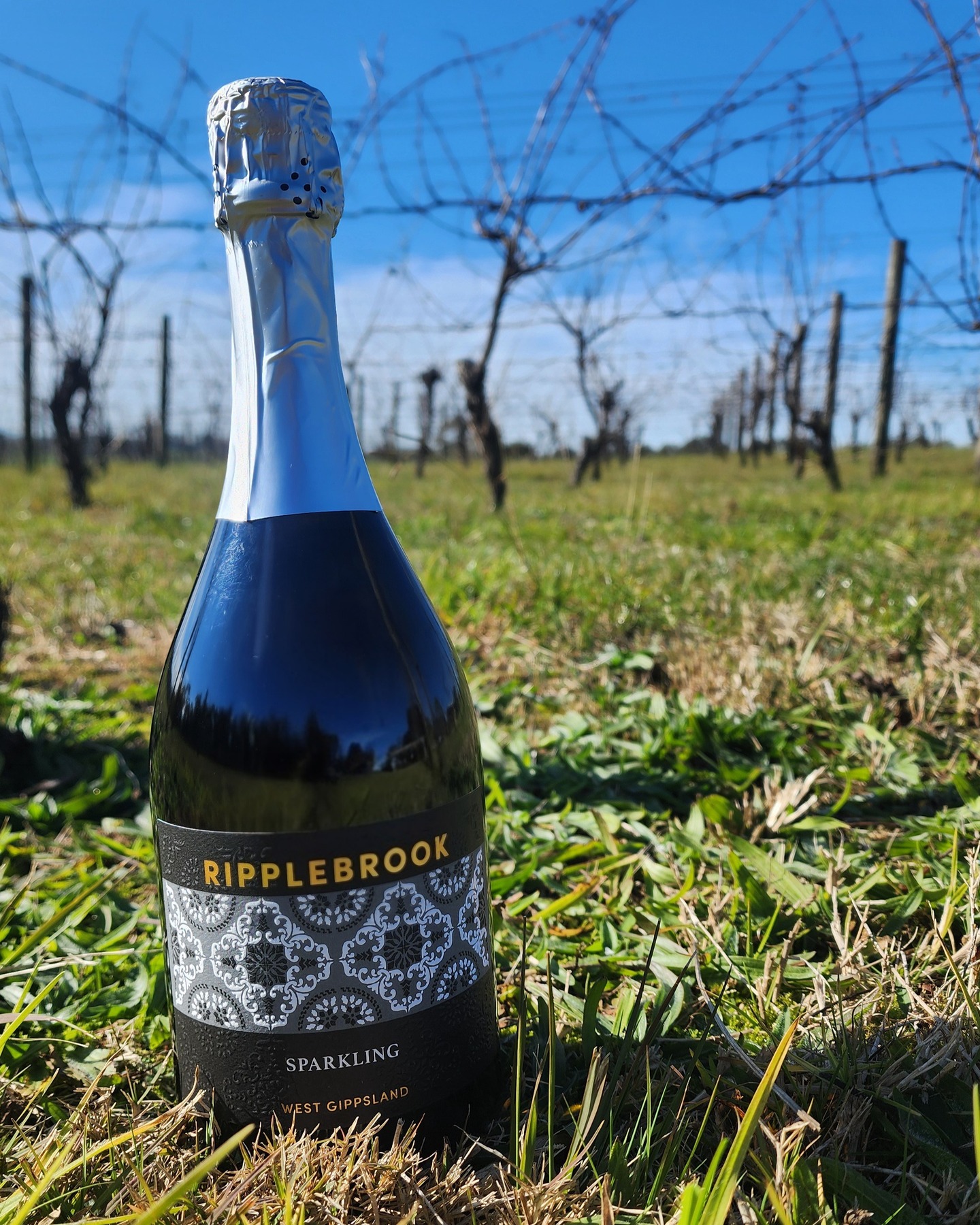 Ripplebrook Winery | Ripplebrook VIC
