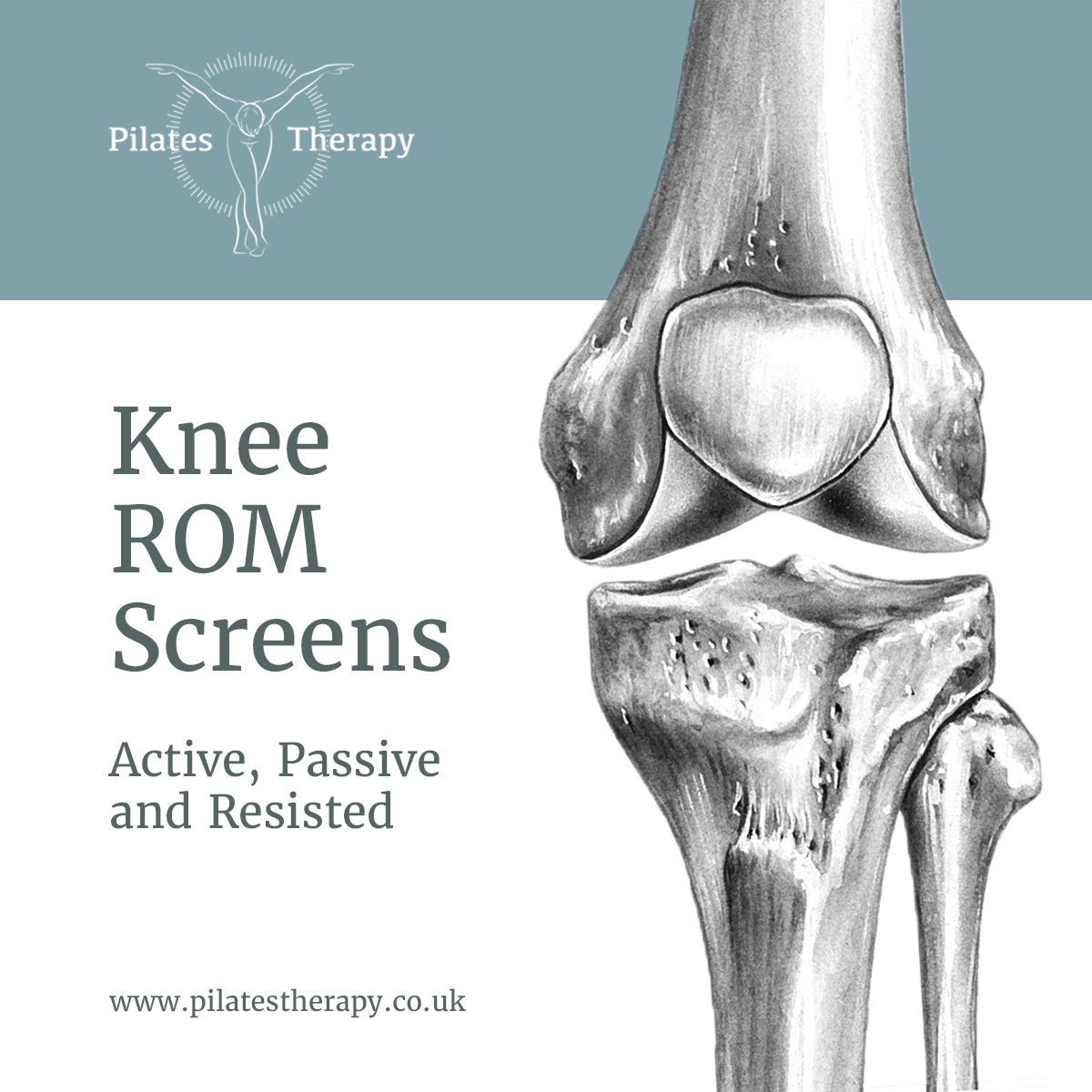 🎥 Knee Range of Motion 🎥... - Movement Anatomy Essentials