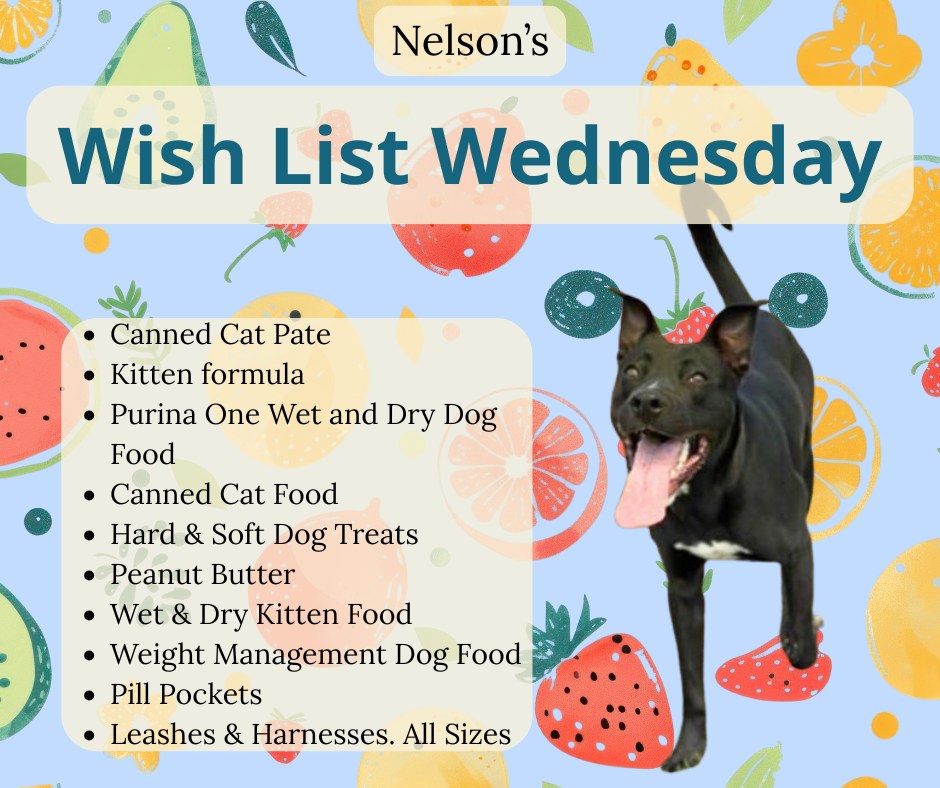 ドッグフード wish listh This Wish List Wednesday, Nelson is asking for the following items