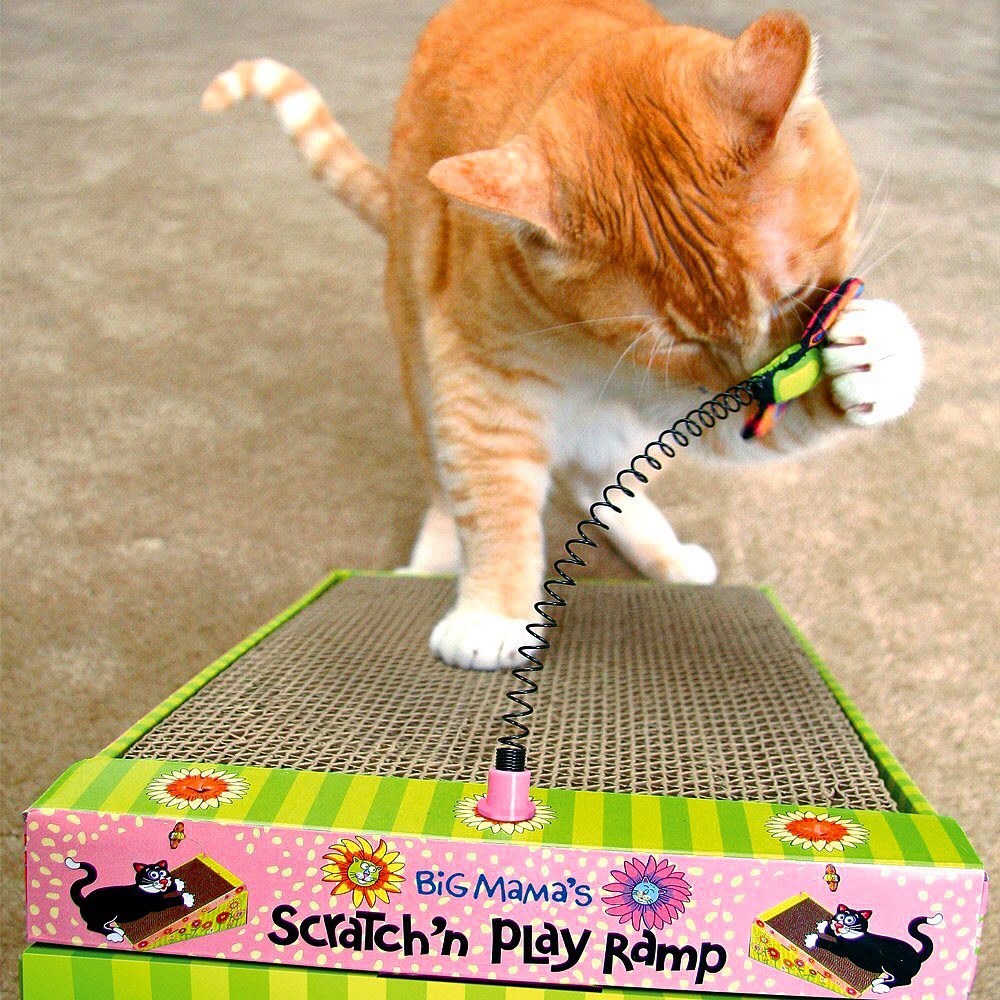 La rampa Scratch ‘n Play es todo lo... - DePelos Pet Store | Facebook