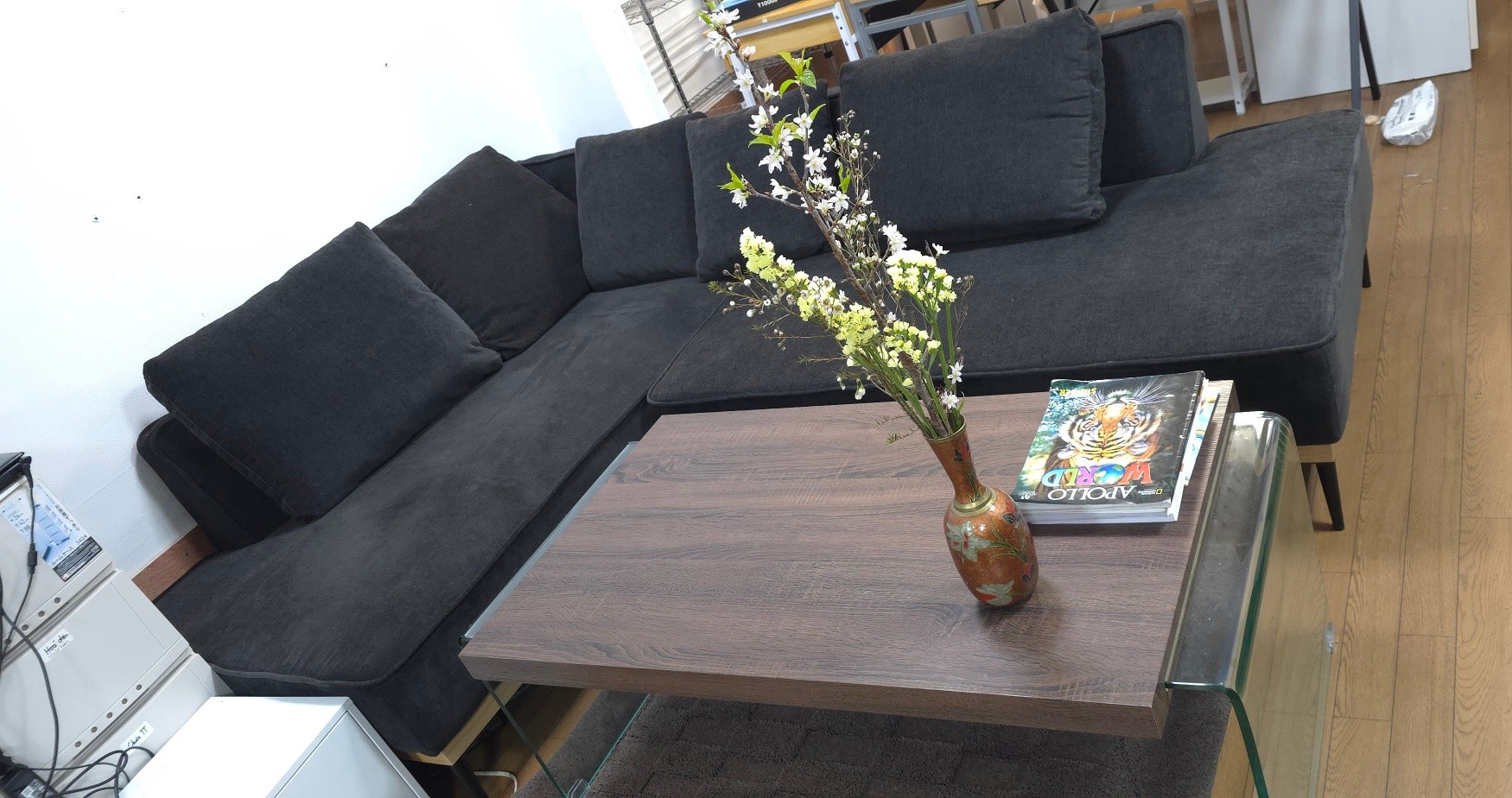 Beautiful sofa, affordable price. 美しいソファ、お手頃な価格です。