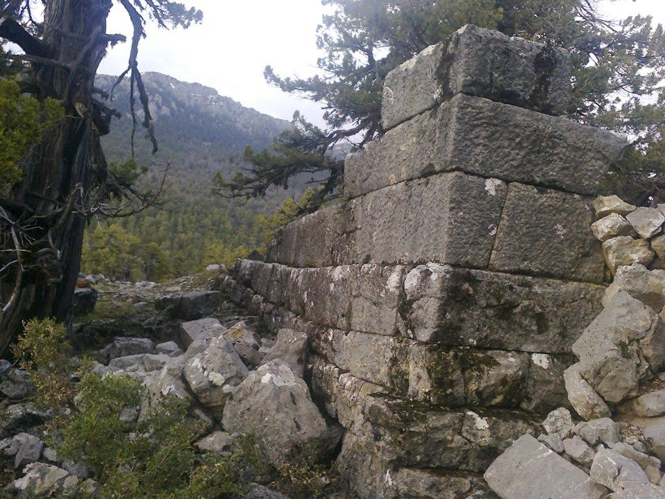 Simyan geleme yaylası