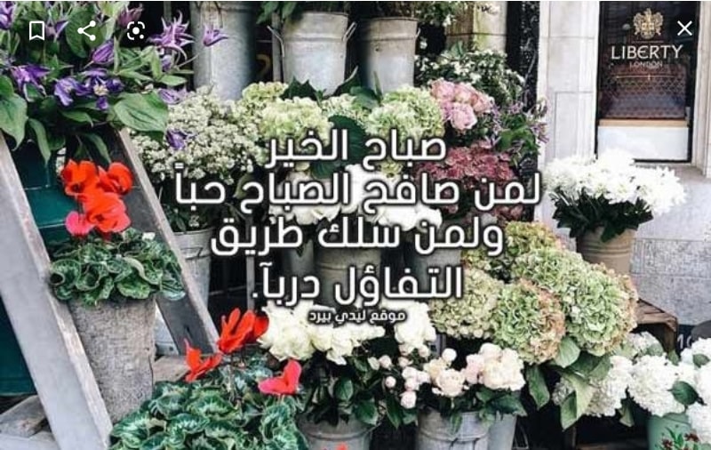 مناسبات القرضة صباح الخير صباح اخر يوما في سنة 2019 م ونودع اخر يوما في هذه السنة مع تمنياتنا بعام جديد سعيد صباح التفائل بغد افضل فيسبوك